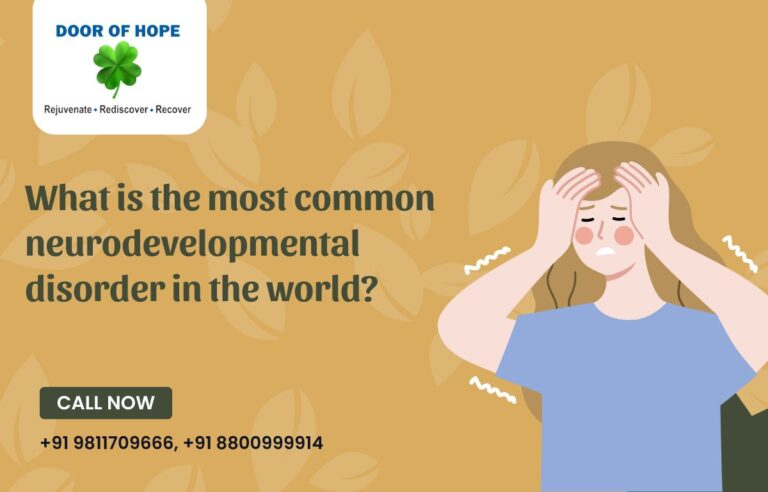 Common Neurodevelopmental Disorder In The World? - Door Of Hope